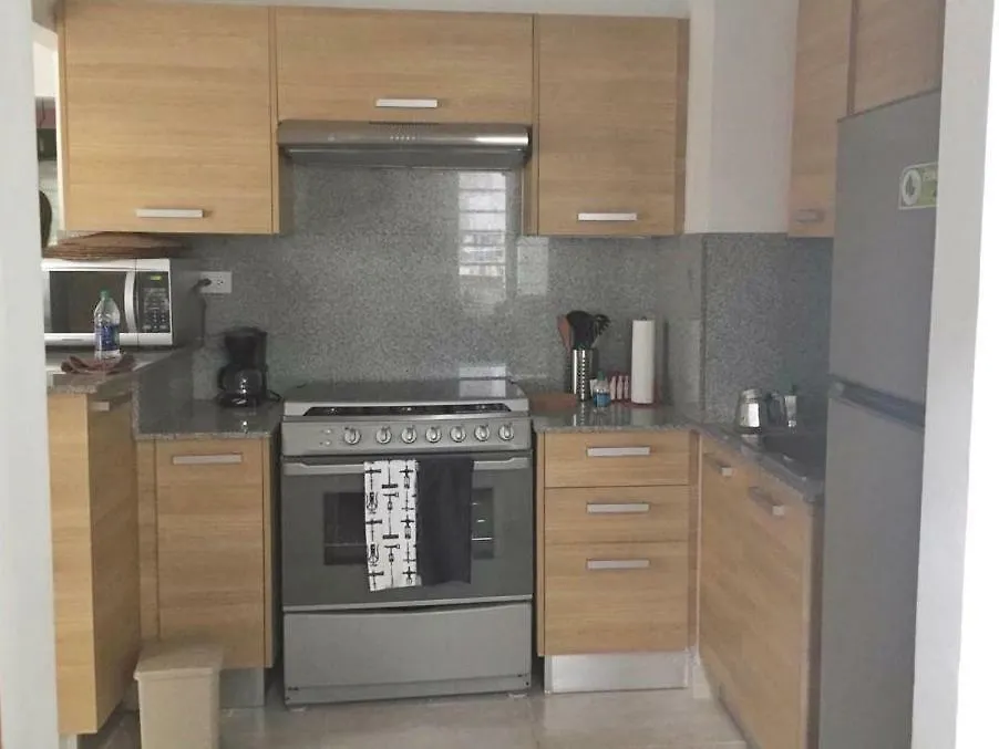 6-Perfect Modern Apt In Great Location Pool/Gym/Bbq Apartment Santo Domingo
